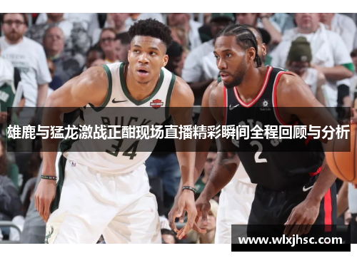 雄鹿与猛龙激战正酣现场直播精彩瞬间全程回顾与分析